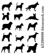 Dogs Dogs