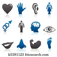 Icons of parts of a body Icons of parts of a body
