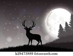 A deer standing A deer standing