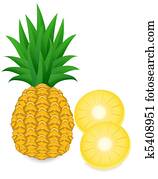 pineapple pineapple