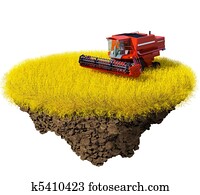 Agriculture: harvesting grain field Agriculture: harvesting grain field