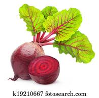 Beetroot Beetroot