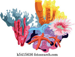 Coral Reef Coral Reef