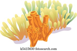 Coral Reef Coral Reef
