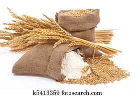 Flour and wheat grain Flour and wheat grain
