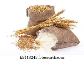 Flour and wheat grain Flour and wheat grain