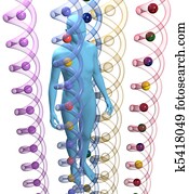 Human 3D DNA genetic science person Human 3D DNA genetic science person