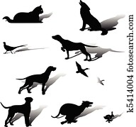 Hunting dog Hunting dog
