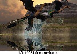 MICRORAPTOR MICRORAPTOR