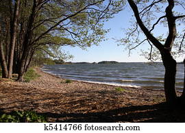 Seashore scene Seashore scene