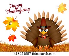 Turkey Turkey