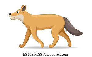 בעל חיים, זאב ערבות