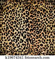 leopard pattern leopard pattern