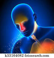Man with Flu - Cold in the Head - Sneezing anatomy concept Man with Flu - Cold in the Head - Sneezing anatomy concept