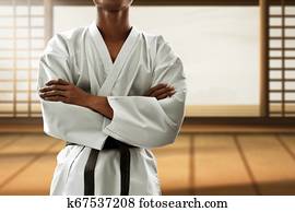 Martial arts fighter Martial arts fighter