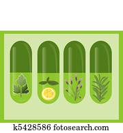Vector Herbal Medicine Vector Herbal Medicine