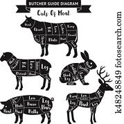 שחוט, כוון, חתכים, של, בשר, diagram., וקטור, illustrations.