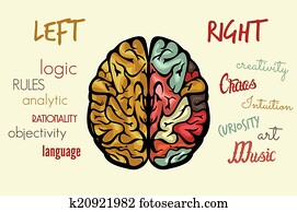 Brain function Brain function