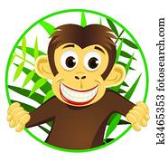 Cute monkey Cute monkey