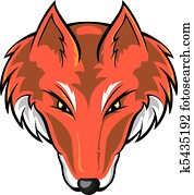 ראש של שועל