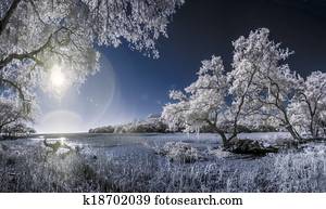infrared photo of trees and marsh infrared photo of trees and marsh