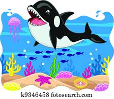 Killer whale carton Killer whale carton