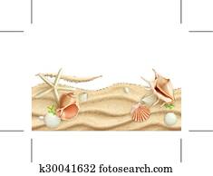 Seashells background Seashells background