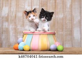 cute, par, de, gatinhos, dentro, um, cesta páscoa