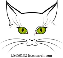 image of cat eyes image of cat eyes