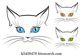 image of cat eyes image of cat eyes