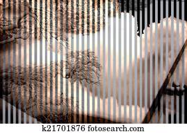 Geistig, heilbad, gestein, sand, zen garten Stock Foto | k9348528