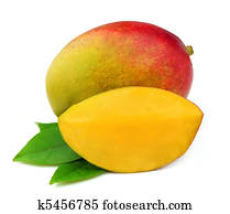 Mango fetus Mango fetus