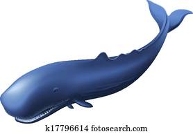Sperm Whale Sperm Whale
