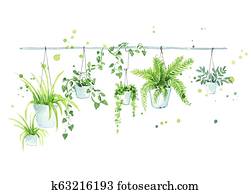 Hanging flower pots, interior design element Hanging flower pots, interior design element