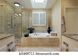 Luxury master bath with skylight