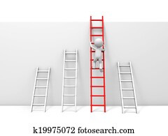 Man with ladder
