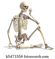 anatômico, correto, macho, skeleton., 3d, fazendo, com, caminho cortante, e, sombra, sobre, branca