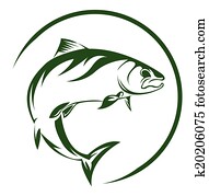 Salmon Fish Salmon Fish