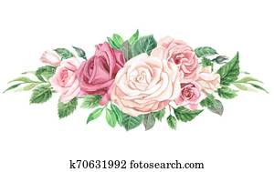 וואטארכולור, ורדים, ו, ירק, ריח פרחוני