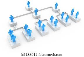 Business organization chart