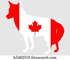 Coyote Canada Coyote Canada