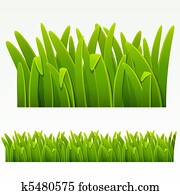 Grass border Grass border