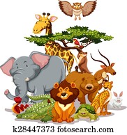 natur natur
