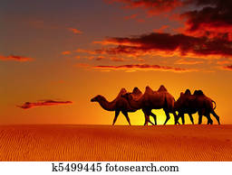 Desert fantasy, camels walking Desert fantasy, camels walking