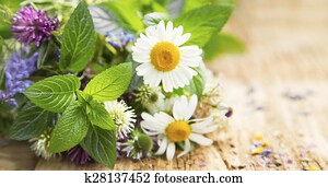 Healing Herbs Healing Herbs