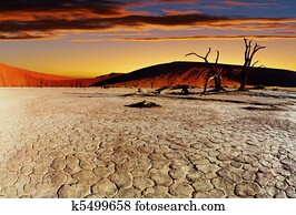 Namib Desert, Sossusvlei, Namibia