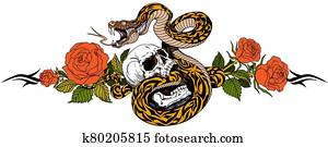 snake,, שבור, גולגולת, ו, ורדים