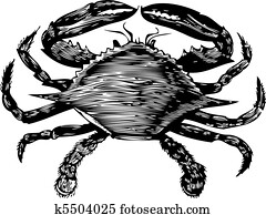 סרטן כחול, חקיקה, (callinectes, hastatus)