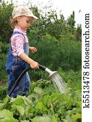 Girl pours a vegetable garden. Girl pours a vegetable garden.