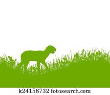 Lamb on meadow Lamb on meadow